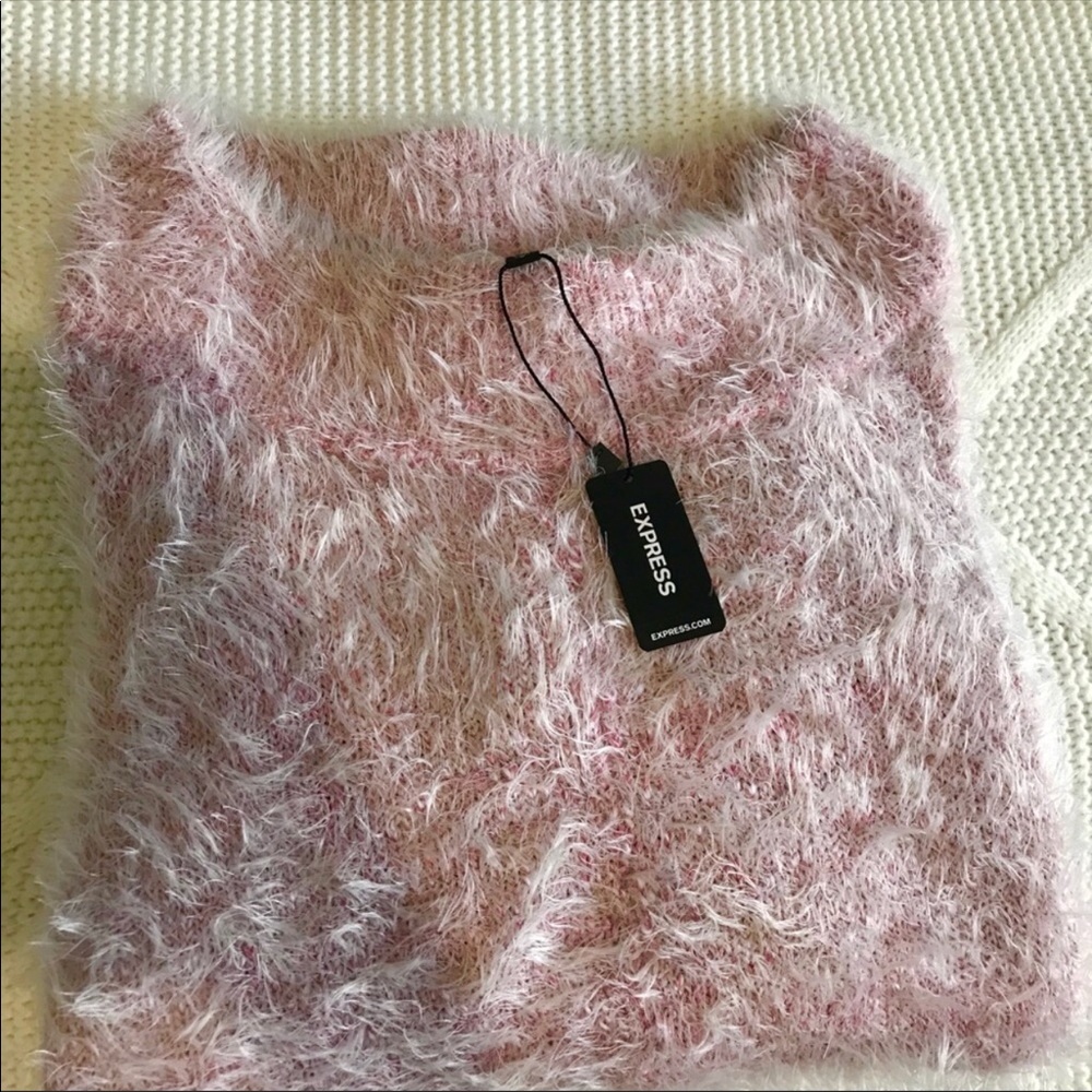 NWT Express fuzzy sweater